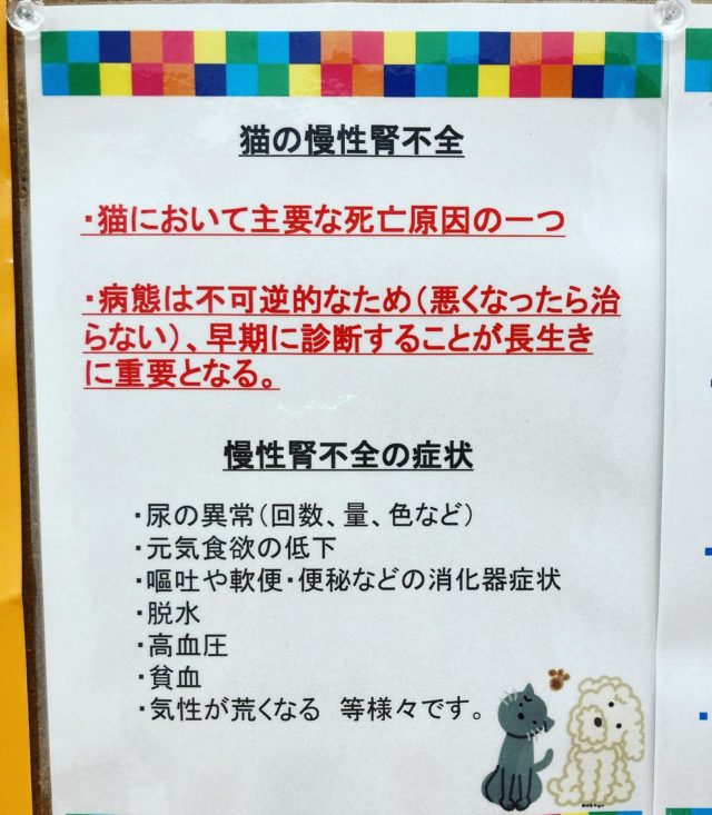 みやざき犬と猫の病院｜宮崎市のイオンモール内の動物病院